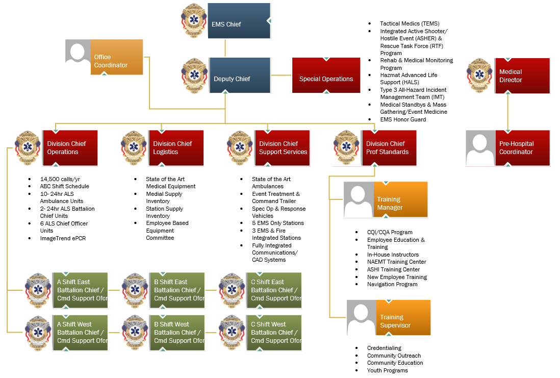 EMS Organization Chart